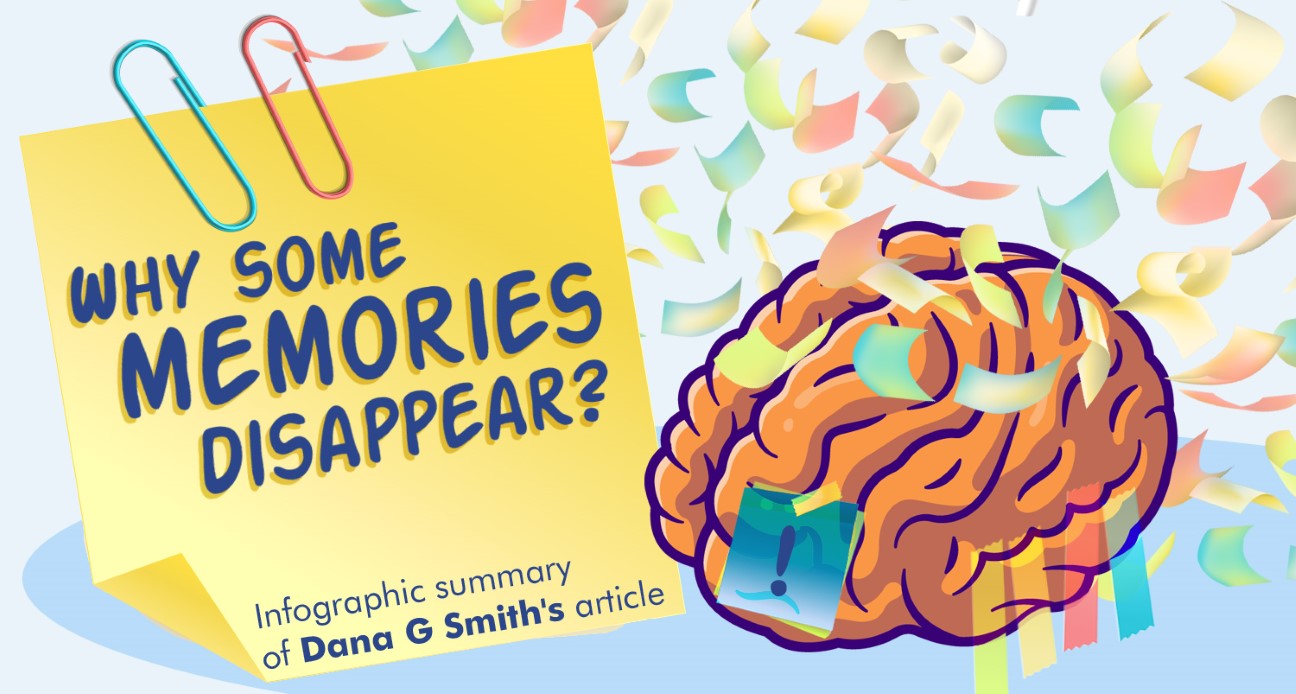 Why some Memories Disappear Infographics